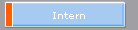 Intern